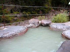 日本の秘湯を歩く 栃木 女夫渕温泉 女夫の湯